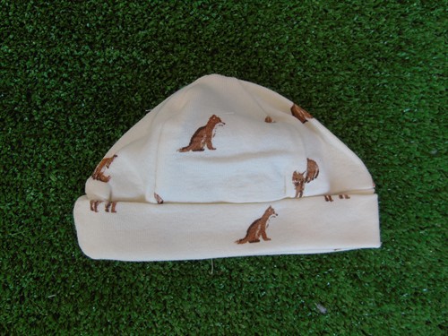 CAPPELLI
